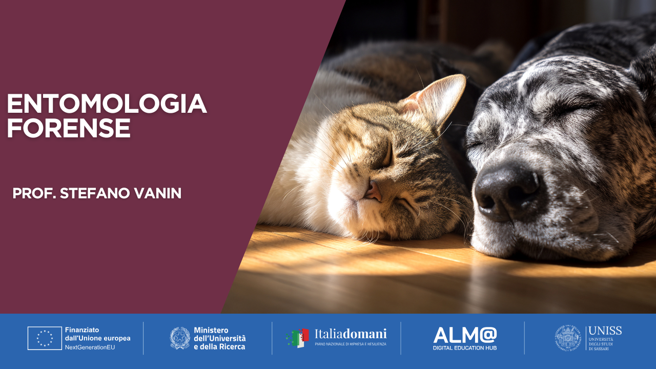 Corso entomologia forense